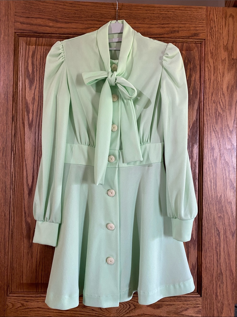Vintage Mint Green Bow Front Button Dress